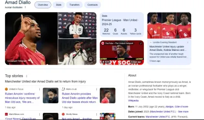 create an approved google knowledge panel for personal   and company	